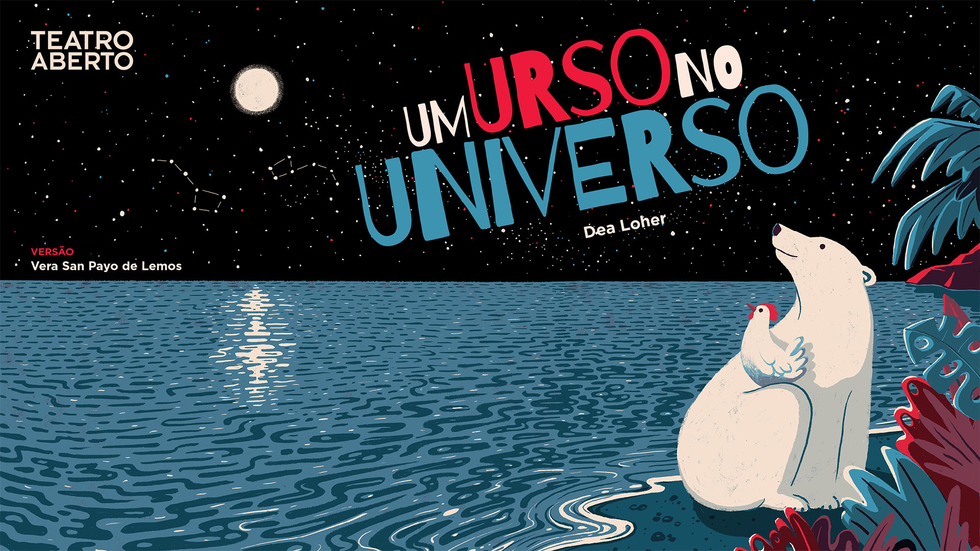 Um Urso no Universo