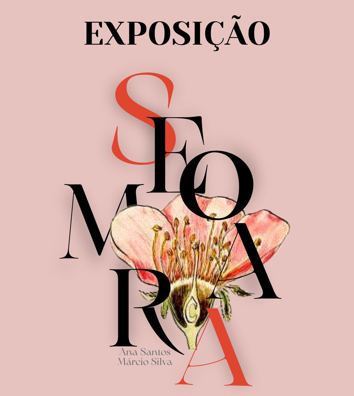 Exposição "SEOMARA"