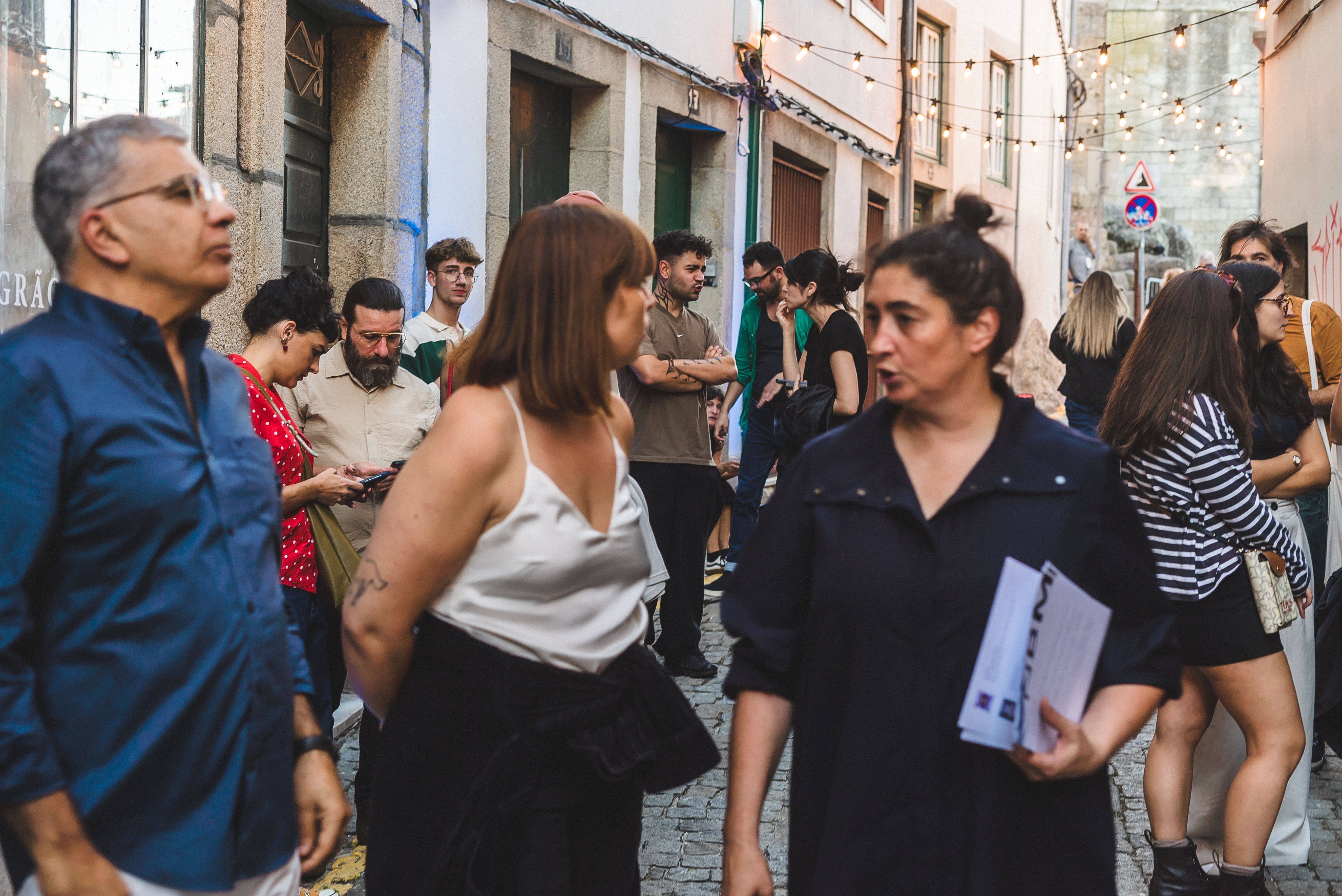 Cynara Complex - Exposição e Instalação de Diana Policarpo