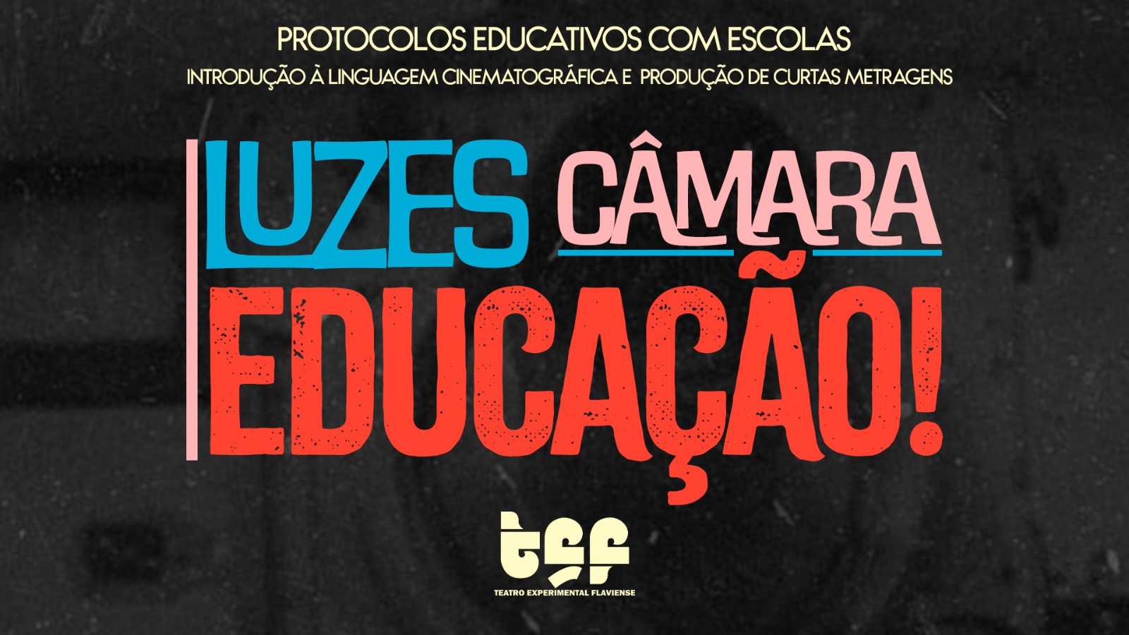 Luzes Câmara Educação