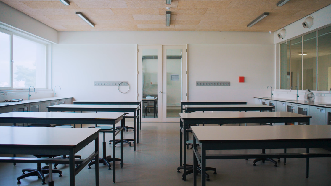 Escolas à Descoberta de Abril (EDA50)